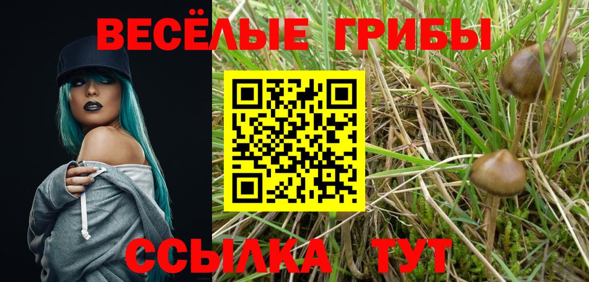 Галлюциногенные грибы мицелий Славянск-на-Кубани